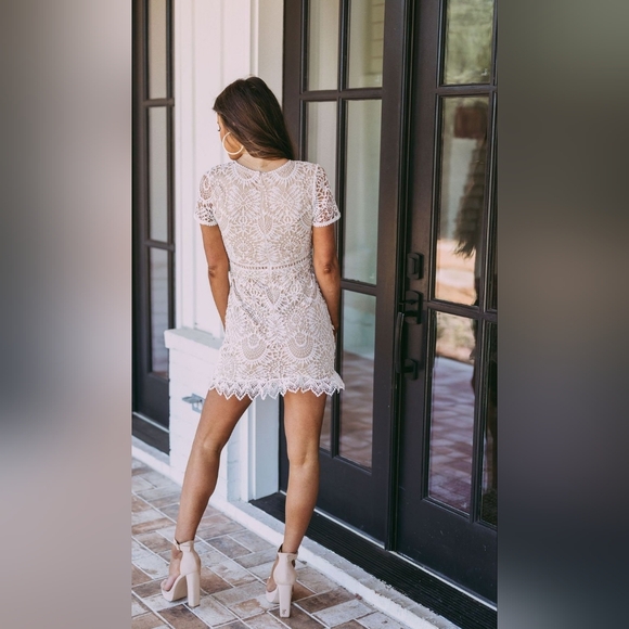 Hidden Label Luna Lace Dress-White/Nude - Picture 4 of 10